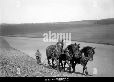 Die Landwirtschaft in den 1920er Jahren. Drei Pferde zieht eine Egge auf ein Feld. Ein Mann hinter ihnen die Führung der Mannschaft der Pferde holding Zügel. Schweden 1928 Stockfoto