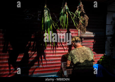 Eine afrokolumbianischen Kräuter Anbieter verkauft Aloe vera auf dem Markt der Bazurto in Cartagena, Kolumbien. Stockfoto