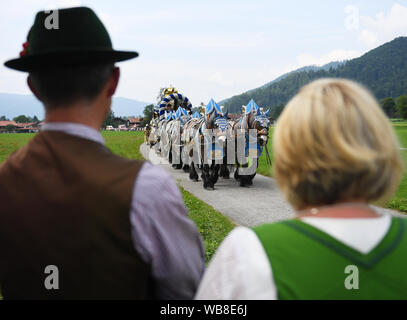 Rottach Egern, Deutschland. 25 Aug, 2019. Die Teilnehmer des Rosstag teil nehmen mit ihren Pferden in die Parade unter dem Motto "d" Fuhrleit kemman z'amm". In diesem Jahr 50 Jahre Rosstag Rottach-Egern gefeiert. Quelle: Angelika Warmuth/dpa/Alamy leben Nachrichten Stockfoto