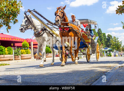 BUYUKADA, Türkei, JULLY 26 2019, Pferd und Wagen in Prinzeninseln Büyükada, Istanbul, Türkei. Phaeton Tour im Prinzen Inseln. Türkische bekannt als Stockfoto