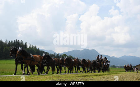 Rottach Egern, Deutschland. 25 Aug, 2019. Die Teilnehmer des Rosstag teil nehmen mit ihren Pferden in die Parade unter dem Motto "d" Fuhrleit kemman z'amm". In diesem Jahr 50 Jahre Rosstag Rottach-Egern gefeiert. Quelle: Angelika Warmuth/dpa/Alamy leben Nachrichten Stockfoto