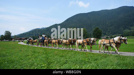 Rottach Egern, Deutschland. 25 Aug, 2019. Die Teilnehmer des Rosstag teil nehmen mit ihren Pferden in die Parade unter dem Motto "d" Fuhrleit kemman z'amm". In diesem Jahr 50 Jahre Rosstag Rottach-Egern gefeiert. Quelle: Angelika Warmuth/dpa/Alamy leben Nachrichten Stockfoto