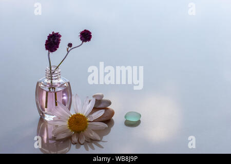 Auf der reflektierenden Oberfläche ist ein rosa aromatische Öl in eine Flasche mit einem Stecken. Pyramide von drei Steine mit einem Glas. Vorne ist die Kamille. Selektive fo Stockfoto