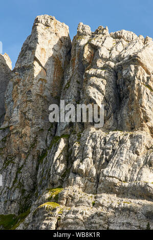 Detailansicht der Canal de Cristall Schlucht felsabstürze in der Sierra del Cadi Bergkette aus seinem Sockel (Alt Urgell, Lleida, Pre-Pyrenees, Katalonien, Spanien) Stockfoto
