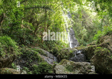 Tropischen Dschungel versteckt sich ein Wasserfall Yeh Labuh. Riesige Steinbrocken in einen Fluß Bett fallen vor einem Wasserfall. Felsbrocken bedeckt mit Moos. Stockfoto