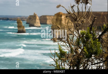 Ein Blick auf die Felsen der Zwölf Apostel entlang der Great Ocean Road in Australien an einem stürmischen Tag Stockfoto