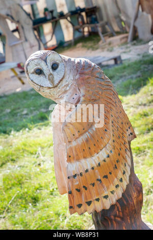 Tabley, Cheshire, UK. 25 Aug, 2019. Die 15 englischen Öffnen Kettensäge Wettbewerb im Cheshire County Showground, England - Chris Wood Ausstellungen Quelle: John Hopkins/Alamy leben Nachrichten Stockfoto