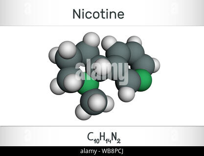 Nikotin Molekül, Alkaloid, in der Familie der Nachtschattengewächse von Pflanzen gefunden. Molekülmodell. Illustration, 3D-Rendering Stockfoto