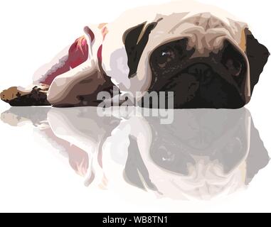 Traurige Gesicht von Mops Hund gerade starrt, Illustration Vektorgrafik pop art auf weißem Hintergrund - PET-Vektor Zeichnung Konzept Stock Vektor
