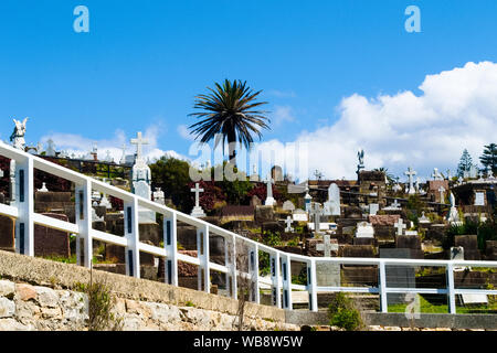 Waverley Friedhof, Bondi, Coogee Spaziergang entlang der Küste, Sydney, NSW Australien Stockfoto