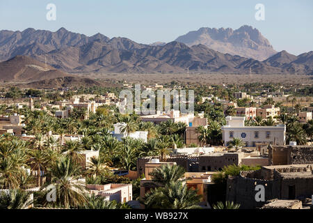 Dorf in einer Oase, Oman Stockfoto