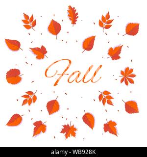 Herbst Blätter drucken bunt. Auf weissem Hintergrund. Einfache cartoon flachen Blätter - Eiche, Ahorn, Traube, Eberesche, Birke. Vector Illustration. Stock Vektor