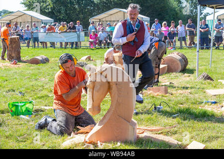 Tabley, Cheshire, UK. 25 Aug, 2019. Die 15 englischen Öffnen Kettensäge Wettbewerb im Cheshire County Showground, England - Konkurrenten gegeneinander in der 30-minütigen Herausforderung Credit konkurrieren: John Hopkins/Alamy leben Nachrichten Stockfoto