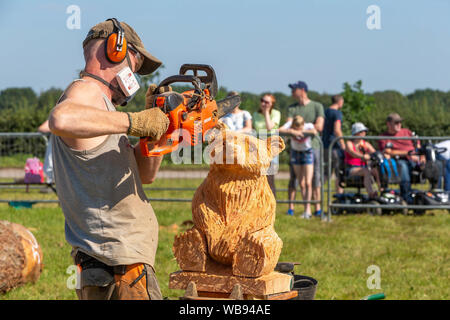 Tabley, Cheshire, UK. 25 Aug, 2019. Die 15 englischen Öffnen Kettensäge Wettbewerb im Cheshire County Showground, England - Konkurrenten gegeneinander konkurrieren in der 30. Minute Herausforderung - Englisch Ant Beetlestone schafft ein Bär Quelle: John Hopkins/Alamy leben Nachrichten Stockfoto