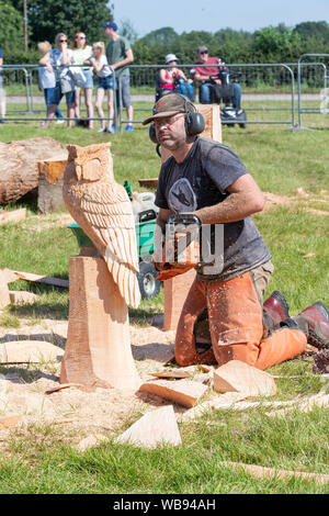 Tabley, Cheshire, UK. 25 Aug, 2019. Die 15 englischen Öffnen Kettensäge Wettbewerb im Cheshire County Showground, England - Konkurrenten in der 30-minütigen Herausforderung - Michael Knudel aus Deutschland Gegeneinander schafft ein Uhu Credit: John Hopkins/Alamy leben Nachrichten Stockfoto