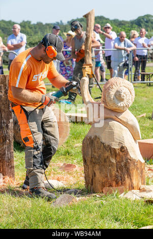 Tabley, Cheshire, UK. 25 Aug, 2019. Die 15 englischen Öffnen Kettensäge Wettbewerb im Cheshire County Showground, England - Mitbewerber konkurrieren in der 30-minütigen Herausforderung - Gaborecz István aus Ungarn gegeneinander erzeugt eine Schnecke Credit: John Hopkins/Alamy leben Nachrichten Stockfoto