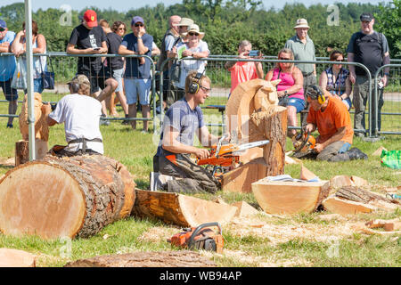 Tabley, Cheshire, UK. 25 Aug, 2019. Die 15 englischen Öffnen Kettensäge Wettbewerb im Cheshire County Showground, England - Konkurrenten gegeneinander in der 30-minütigen Herausforderung Credit konkurrieren: John Hopkins/Alamy leben Nachrichten Stockfoto