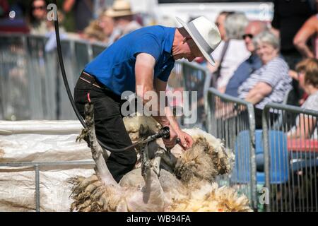 Eine Schafschur Anzeige von Joe Neery von Longhorn scheren an der Splitterung der Landwirtschaft zeigen in Lancashire, Großbritannien Stockfoto