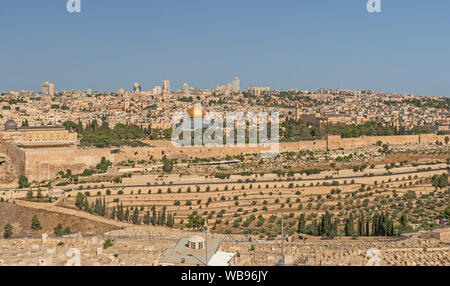 Jerusalem Viewded aus dem Garten Gethsemane in Israel. Stockfoto