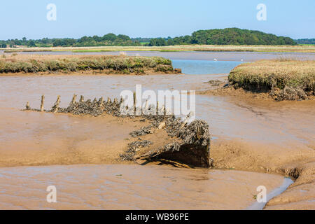 Alte Holzschiffe Rumpf im Schlamm Salzwiesen bei iken in Suffolk gesunken Stockfoto