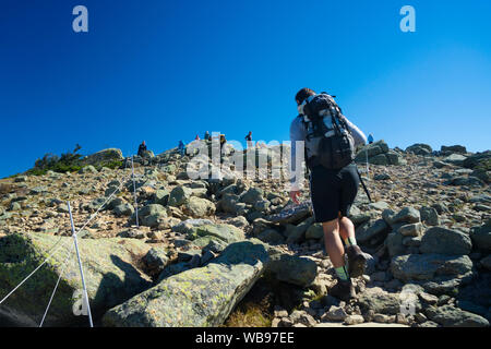 Männliche Wanderer bis Franken Ridge Trail in Richtung Mt Lafayette, New Hampshire, USA. Stockfoto