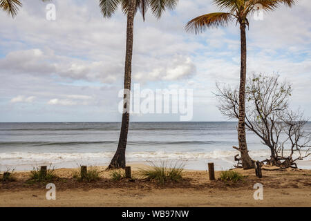 Der Strand von Les Salines in der Nähe von Sainte Anne, Martinique. Stockfoto