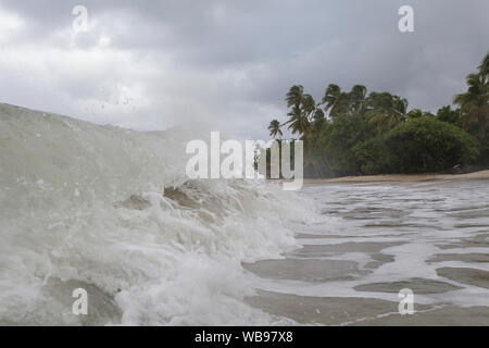 Der Strand von Les Salines in der Nähe von Sainte Anne, Martinique. Stockfoto