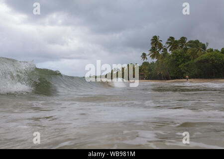 Der Strand von Les Salines in der Nähe von Sainte Anne, Martinique. Stockfoto