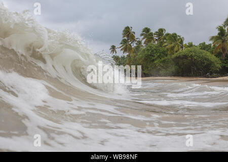 Der Strand von Les Salines in der Nähe von Sainte Anne, Martinique. Stockfoto