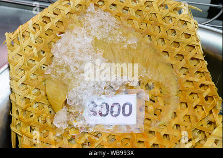 Shark Fin bereit zum Verkauf in der chinesischen Restaurant in China Town. Stockfoto