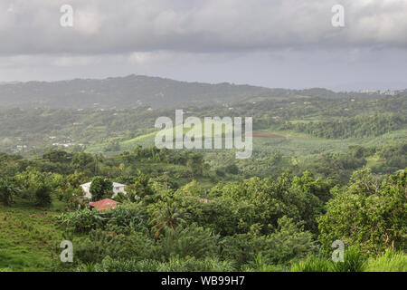 Die Insel Martinique. Stockfoto