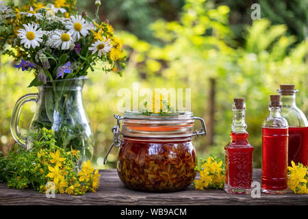 Gläser und Flaschen mit roter Öl aus Johanniskraut Blüten, mit frischen Pflanzen Stockfoto