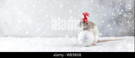 Ratte im Winter hat die Glaskugel Dekoration Stockfoto