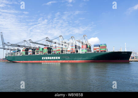 Angesichts immer günstig bei ECT Delta Terminal, Rotterdam. Immergrün mit Sitz in Taiwan ist eine globale containerisierte Fracht-unternehmen. Stockfoto