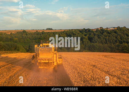 Antenne hinten geschossen von einem Mähdrescher ernten ein Weizenfeld bei Sonnenuntergang in Großbritannien Stockfoto
