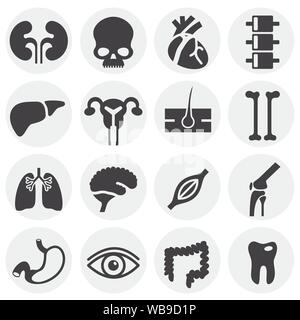 Menschliche Organe ähnliche Symbole auf dem Hintergrund für Grafik- und Webdesign. Einfache Abbildung. Internet Konzept Symbol für Website Taste oder mobile App Stock Vektor