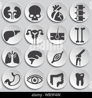 Menschliche Organe ähnliche Symbole auf dem Hintergrund für Grafik- und Webdesign. Einfache Abbildung. Internet Konzept Symbol für Website Taste oder mobile App Stock Vektor