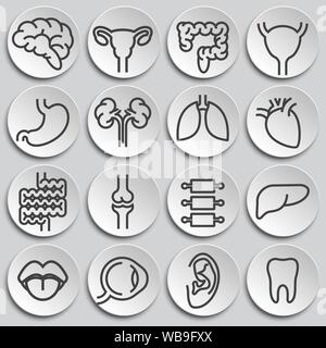 Menschliche Organe ähnliche Symbole auf dem Hintergrund für Grafik- und Webdesign. Einfache Abbildung. Internet Konzept Symbol für Website Taste oder mobile App Stock Vektor