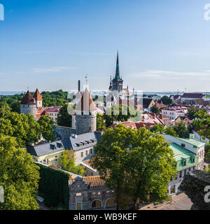 Tallinn, Estland - 23. Juli 2019. Ein Foto mit Blick auf Tallinn von einem Hügel aus Kalkstein mit Blick auf den Stadtplatz. Stockfoto