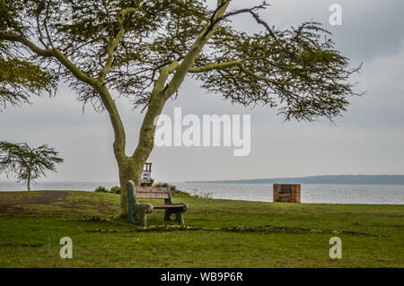 Grün und isolierten False Bay Park in Isimangaliso wetlands in KZNSouth Afrika Stockfoto