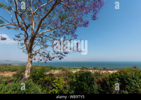 Blick von der schönen Tibériade See in Israel Stockfoto