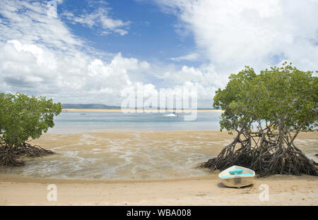 Rote Mangroven (Rhizophora mangle) und Boot an das Round Hill Creek, dem Ort der ersten Landung Kapitän Cook's in Queensland, im Mai 1770. Stratocumulus und Stockfoto