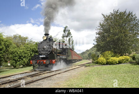 Valley Rattler 1920 s Erbe Dampfzug, Touristen die Chance, eine von den meisten Scenic Railway Queensland's Linien durch die Maria zu reisen Stockfoto