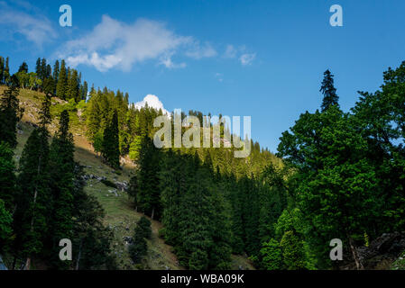 Schöne Szenen erlebt während der Wanderung zu den Hamta Pass Wanderung im Himalaya reicht - Stockfoto