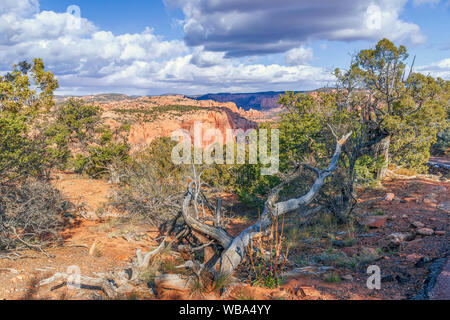 Blick von Mesa top Trails in Navajo National Monument. Arizona. USA Stockfoto