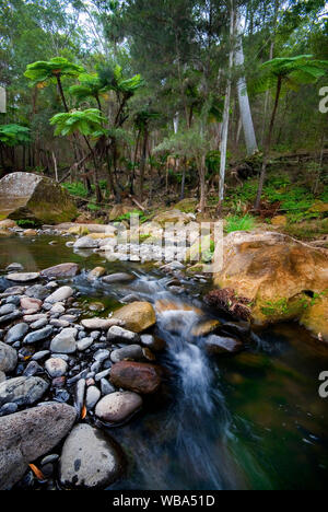 Carnarvon Creek, die Winde für mehr als 30 km, ständige Wasser durch Regen und artesischen Quellen gespeist, die Schluchten der physischen Merkmale und als gebildet hat, Stockfoto