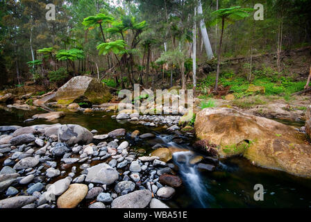 Carnarvon Creek, die Winde für mehr als 30 km, ständige Wasser durch Regen und artesischen Quellen gespeist, die Schluchten der physischen Merkmale und als gebildet hat, Stockfoto