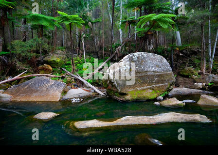 Carnarvon Creek, die Winde für mehr als 30 km, ständige Wasser durch Regen und artesischen Quellen gespeist, die Schluchten der physischen Merkmale und als gebildet hat, Stockfoto