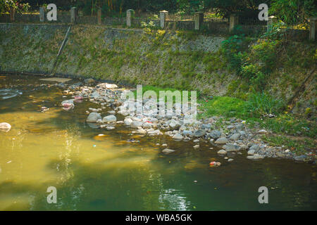 Ciliwung Fluß in Bogor Botanical Garden flow mit Schmutz und Unrat in Indonesien Stockfoto