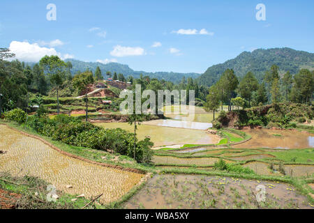 Traditionelle Alang Reis Scheune, Rantepao, Tana Toraja, South Sulawesi, Indonesien. Alang Häuser haben eine Unterscheidung Boot - geprägt. Stockfoto